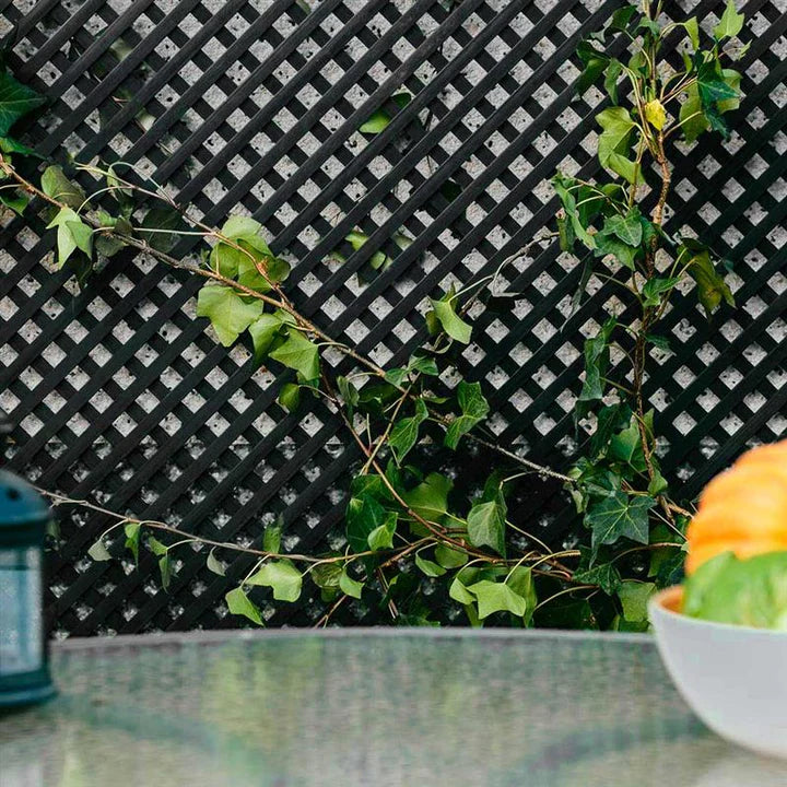 Pack instalación vertical 2 Celosías PVC 18 mm Antracita con perfiles y unión