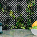 Pack instalación Celosía PVC 18 MM + 3 Perfiles ANTRACITA