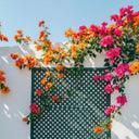 Celosía ecológica lop verde