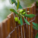 Mimbre natural vimet nortene