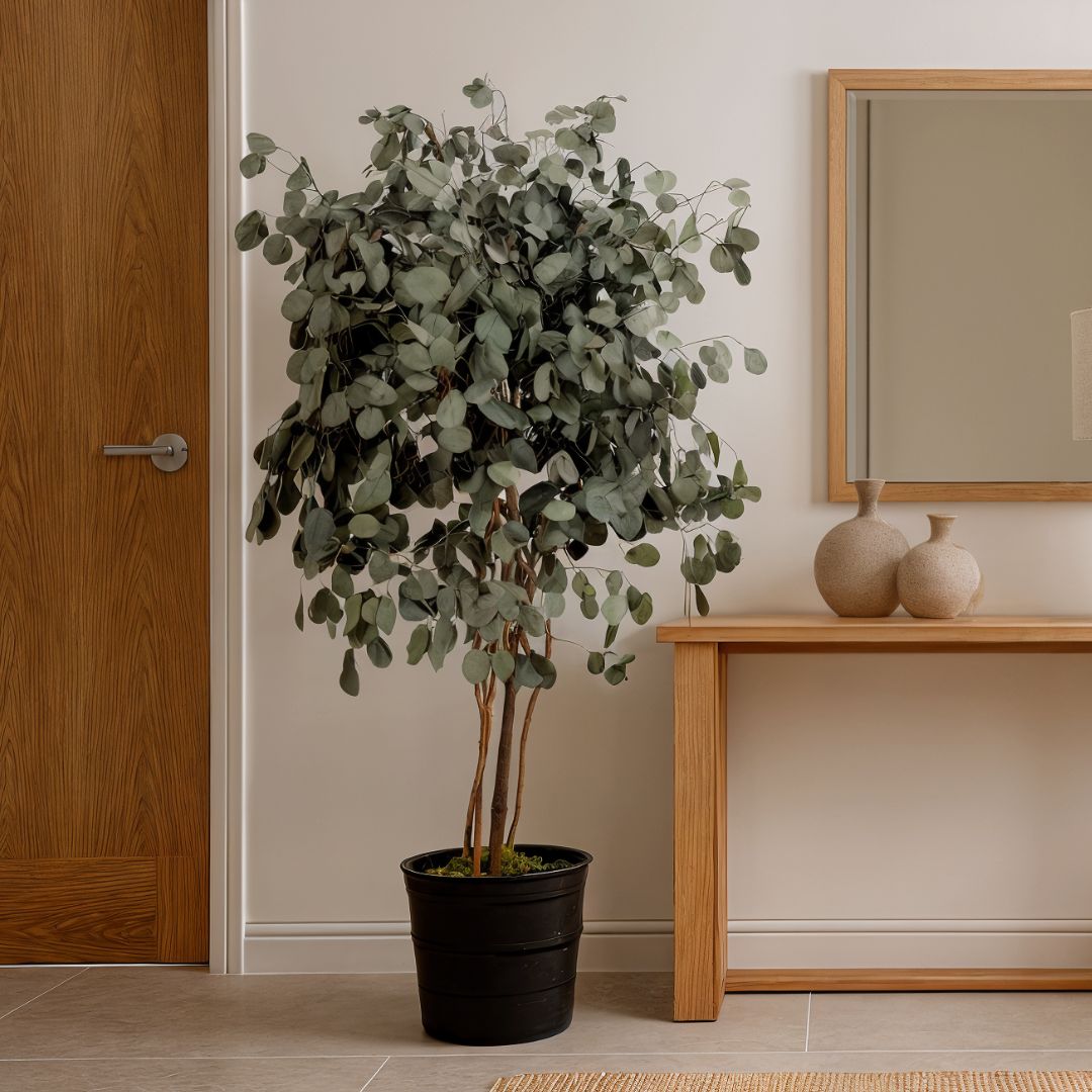 Árbol preservado populus 130 cm