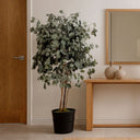 Árbol preservado populus 130 cm