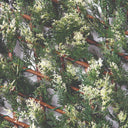 EXTENSIBLE TRELLIWILLOW CIPRES LATTE 1X1.5 M NORTENE