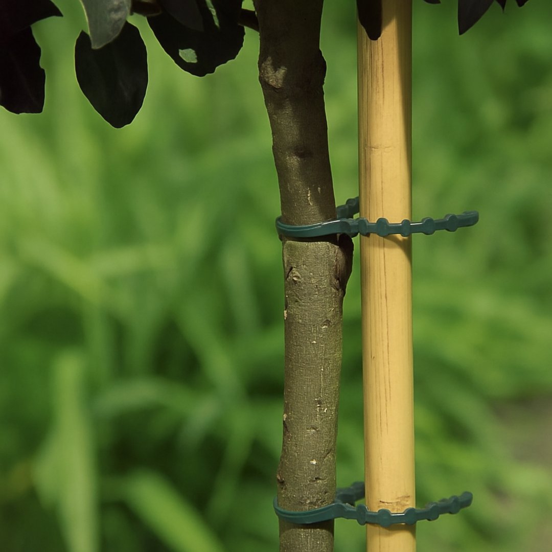PACK OF 40 PLASTIC TIES FOR TREE SUPPORTS FIX 17 CM GREEN NORTENE
