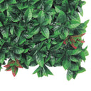 JARDÍN VERTICAL RED LAURO