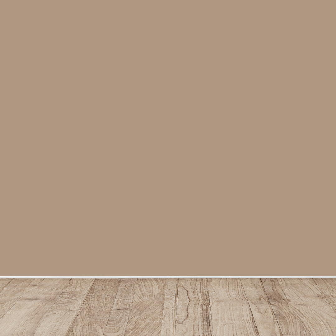 PINTURA FOTOCATALÍTICA ACTIVA NUEZ