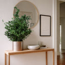 PRESERVED PLANT PARVIFOLIA 70 CM 