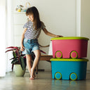 BAÚL RESINA 1 ESTANTE ROSA PISTACHO 60X61X53 CM