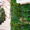 Rollo jardin vertical grazing 100 x 100 cm nortene