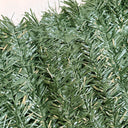 Seto artificial 30 varillas urbanhedge nortene