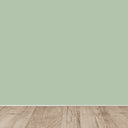 PINTURA FOTOCATALÍTICA ACTIVA VERDE