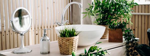 Cómo añadir plantas a tu baño, los mejores tips