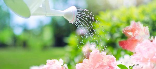 Trucos para ahorrar agua en el jardín que necesitas
