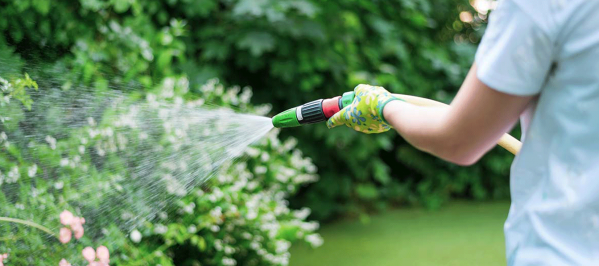 Limpieza y mantenimiento de jardines de casa en verano
